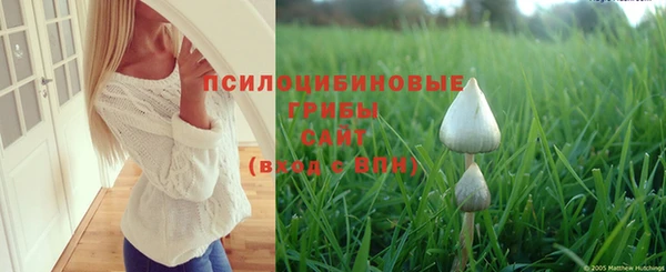 марки nbome Михайловск