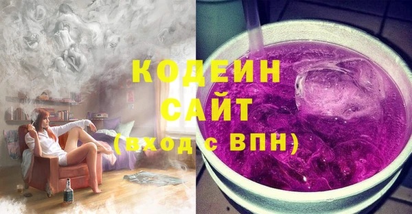 индика Ростов