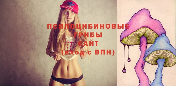 MDMA Premium VHQ Михайловка