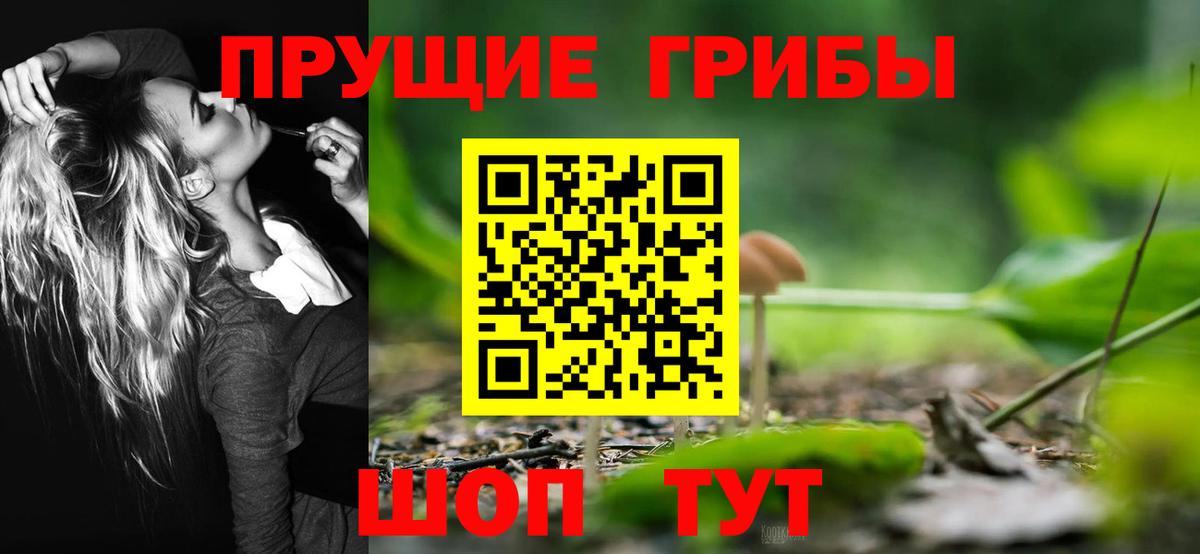 Холмск  Псилоцибиновые грибы GOLDEN TEACHER  наркотики  Галлюциногенные грибы MAGIC MUSHROOMS  Вход с VPN 